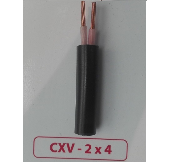 Dây cáp điện Cadivi 2x4