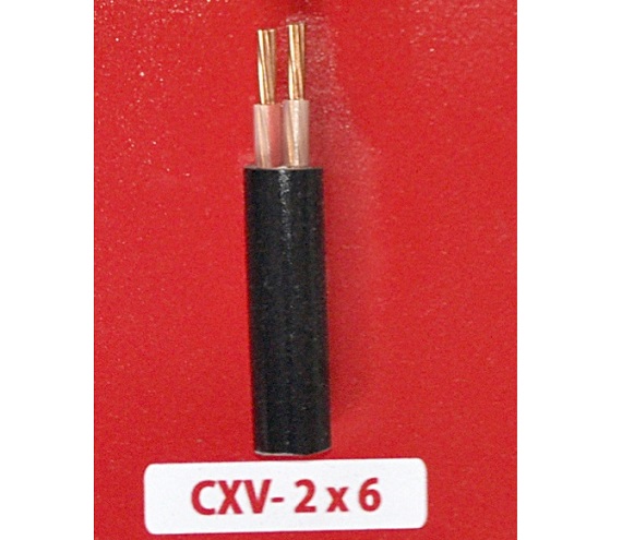 Dây cáp điện Cadivi 2x6