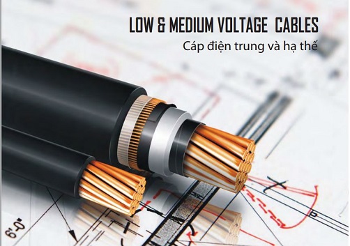 Dây cáp điện Cadivi CV 5.0