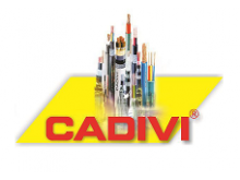 Catalogue cáp điện hạ thế cadivi